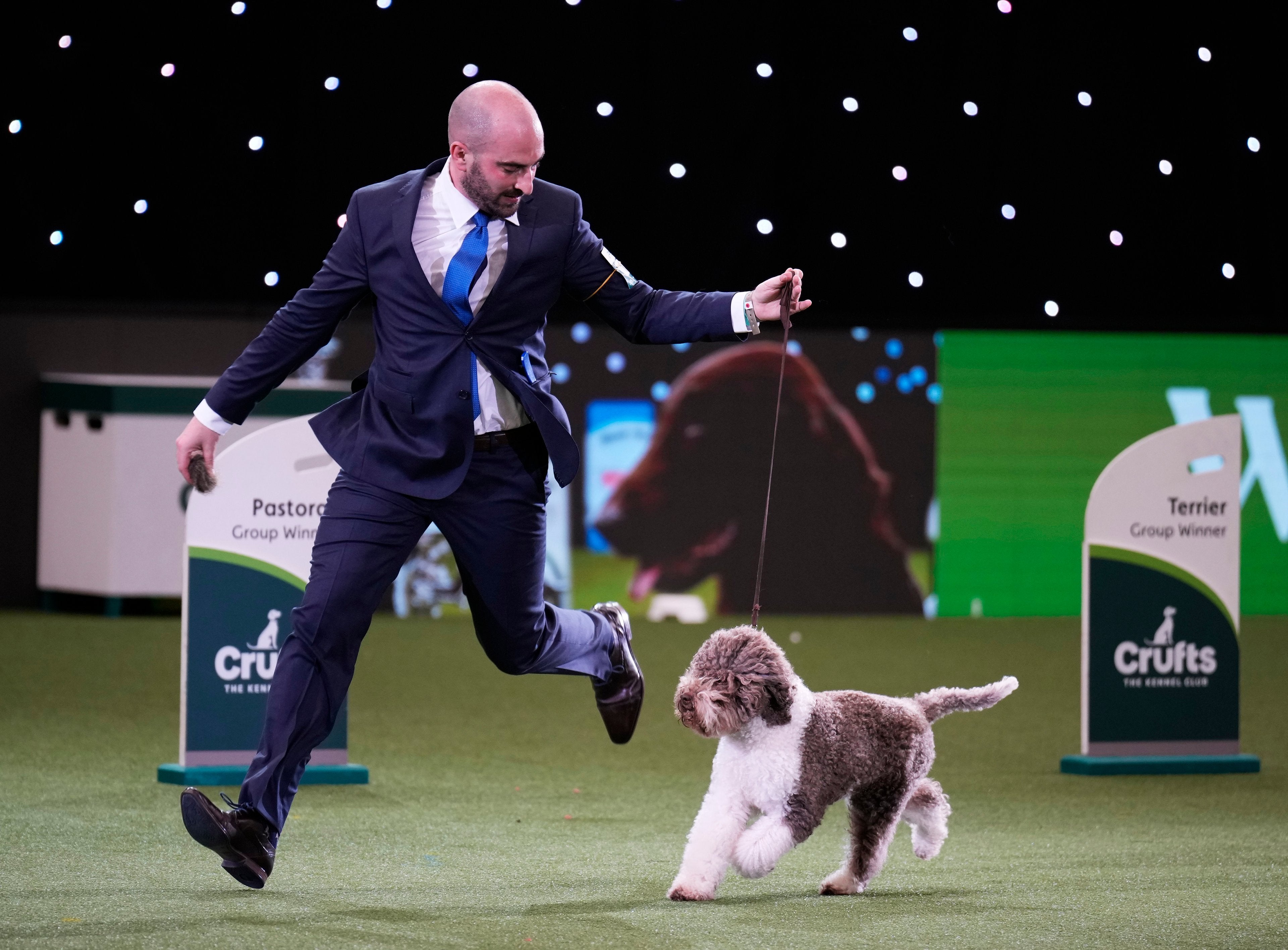 Crufts tonight 2024